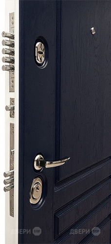 Входная металлическая Дверь Сударь МД-45