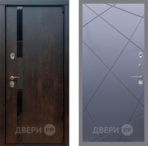 Дверь Рекс (REX) 26 FL-291 Силк титан